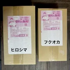 ダンボール未開封 2BOX】ポケモンセンター ヒロシマ スペシャルBOX