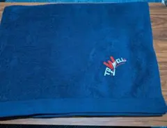 AUFGUSS WM 刺繍ロゴ アウフグースタオル　オープン　ミニ AUFGUSS WM 刺繍ロゴ アウフグースタオル オープン ミニ - メルカリ