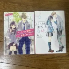 野いちご文庫2冊セット