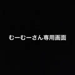 むーむーさん専用 ビーズキット
