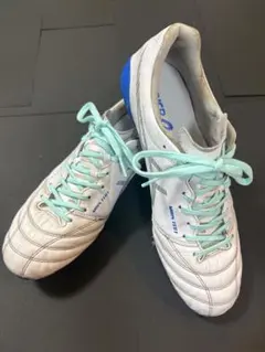 ASICS DS LIGHT X-FLY6ホワイト/グリーン28センチ - メルカリ