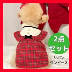 犬服 ワンピース リボン セット 2点 Mサイズ