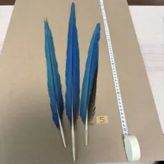 ルリコンゴウインコ　羽根 (尾羽) ハンドメイド用 素材 3本セットのサムネイル