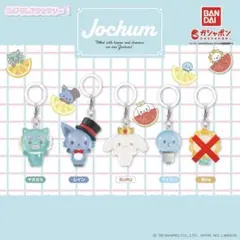 JOCHUM めじるしアクセサリー セミコンプ