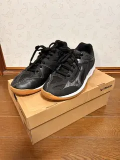 【Eko様専用】Mizuno Thunder Blade 3 24.0cm