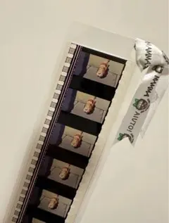 フィルムブックマーカー　ハウルの動く城 三鷹の森ジブリ美術館 ヒン