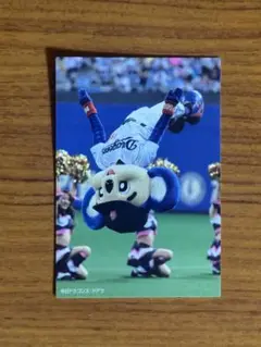 カルビー　2013 プロ野球チップス　中日　ドアラ　C-10