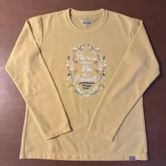 MIZUNO DRY VECTER Tシャツ　登山ハイキング　吸汗速乾