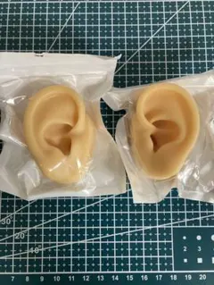 Item thumbnail for item 97787c5a-5606-4634-94f7-494755afac9b