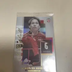 山内晶大 男子バレー　カード