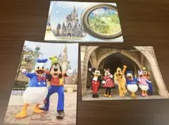 ディズニーリゾート　スペシャルフォト　ドナルド　グーフィー　パルパルーザ