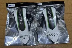 Item thumbnail for item 016a13e5-d36f-43bf-8dd2-2253d6521254