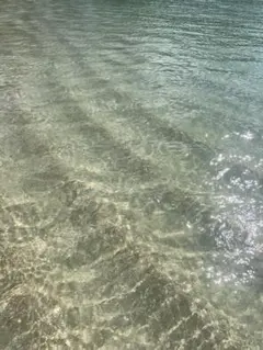 tmm様専用です⭐︎