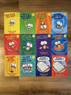 Fly Guy英語絵全10冊セット+練習帳2冊