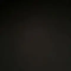 専用