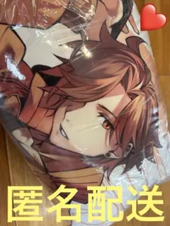 CrazyRaccoon CR クレイジーラクーン　ありさか ビッグクッション