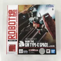 ROBOT魂 機動武闘伝Gガンダム マスターガンダム & オプション