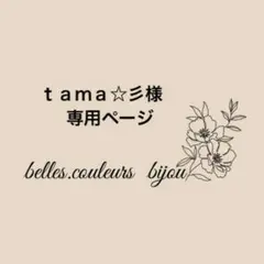《ｔａｍａ☆彡様専用》アイリスアゲートドゥルージー⑥オリジナルシェイプ＊ピアス