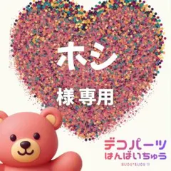 ホシ 様　専用ページ