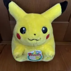 ポケモン30周年記念 おかえり!ピカチュウ 1/1