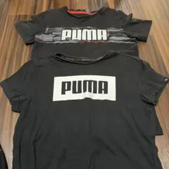 PUMA 黒 Tシャツ 2枚セット