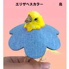 Item thumbnail for item c6534da3-453d-4f0c-90bf-eb1e1fcb369c