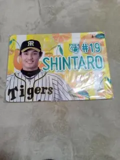 Item thumbnail for item 643c3ff2-cea7-4d22-a86c-3384dd55808a