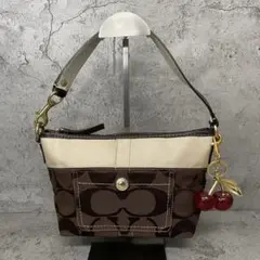 希少カラー COACH ワンショルダー アクセサリーポーチ パープル y2k 極美品 y2k COACH ワンショルダーバッグ アクセサリーポーチ パープル