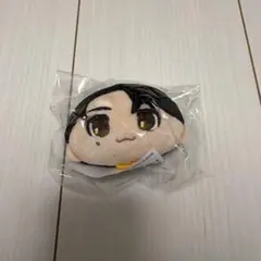 Lienel 武田創世 マスコット ぬいぐるみ - メルカリ
