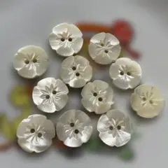 高級　貝ボタン　花　１１個　未使用品