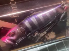 Item thumbnail for item cd96be51-b93d-49b4-8158-4ec9a0468041