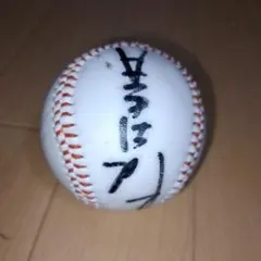 2026年最新】星野仙一 直筆 サインボールの人気アイテム - メルカリ