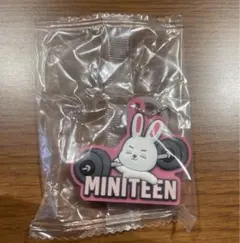 MINITEEN めじるしチャーム　チェチェリ　エスクプス