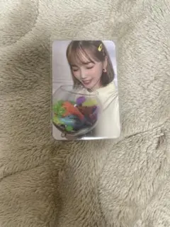 izone IZ*ONEアイズワン　Le Sserafim チェウォン　トレカ