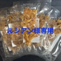 【ルシアン様専用】