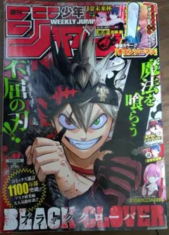週刊少年ジャンプ 2020年49号 チェンソーマン巻頭カラー