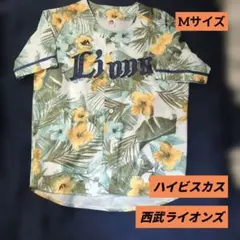 Item thumbnail for item e5e04b28-7d23-440d-838c-7574097c4465