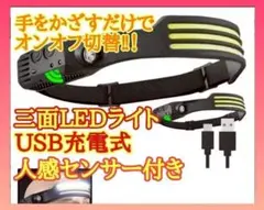 Item thumbnail for item 5c0ce540-c523-4778-bfa5-ee17fcd3990c