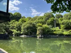 フラメンコシューズ　ストラップ付き　初心者用のサムネイル