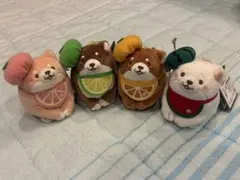 忠犬もちしば フレッシュフルーツマスコット