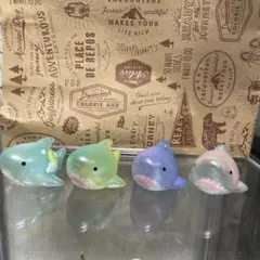 2025年最新】もちっこサメさんの人気アイテム - メルカリ