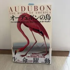 オーデュボンの鳥 『アメリカの鳥類』セレクション