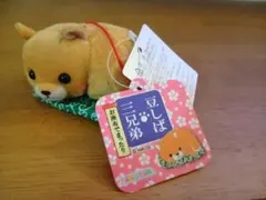 豆しば三兄弟 お座布でまったり マスコット