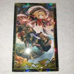 FGOAC　ドラコー　絆礼装　フェイタル ドラコー絆礼装 フェイタル - メルカリ