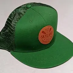 Item thumbnail for item 020ad4e5-e2a7-479e-b4ff-cd6c005ffe52