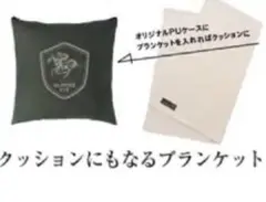 アーモンドアイ　クッションにもなるブランケット