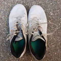 Item thumbnail for item 2d01166e-2bb0-4eef-97de-4efe2d412835