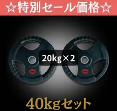 □最安□50kgセット 25kg×2枚 オリンピックバーベルプレート ラバー