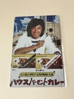 ハウスバーモントカレー ブリキ看板 昭和レトロ