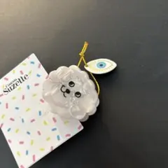 ココシュゼット　ビションフリーゼ